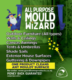 All Purpose Mould Wizard